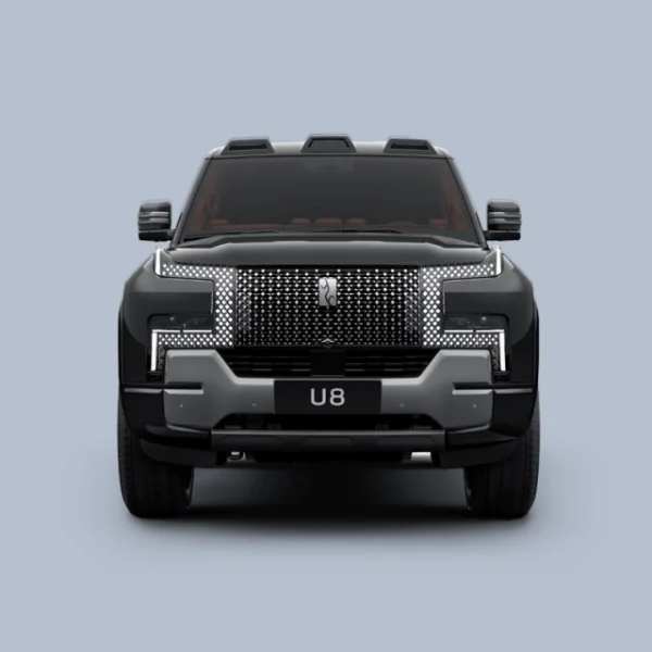 YANG WANG U8 - Image 3
